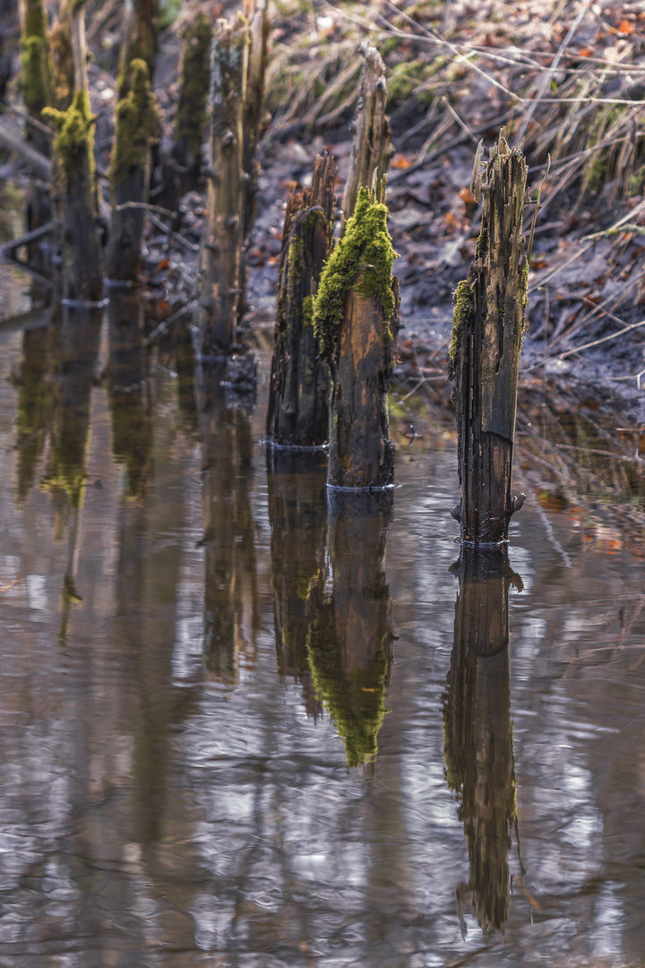 Im Wasser Verbaut-2