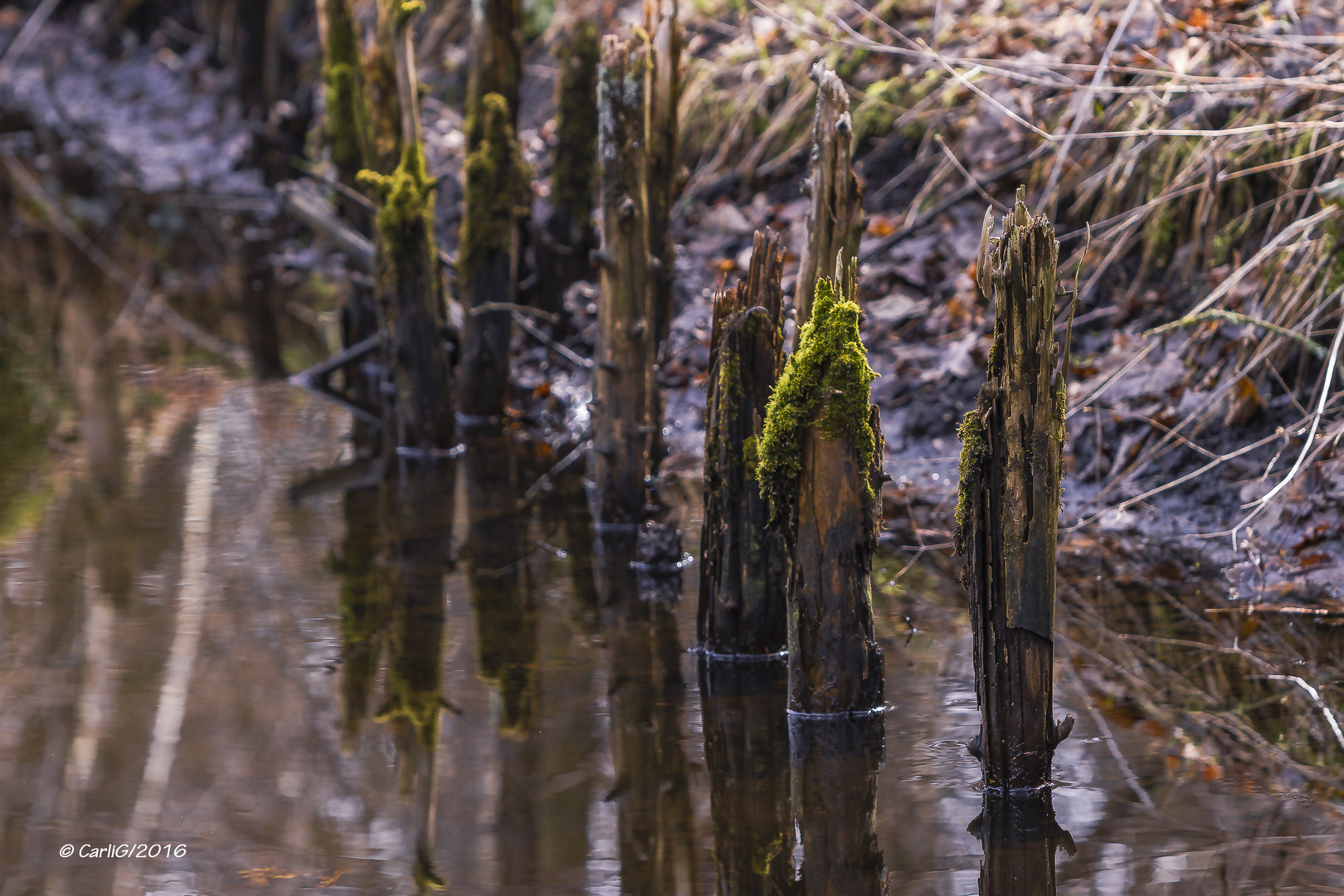 Im Wasser Verbaut...