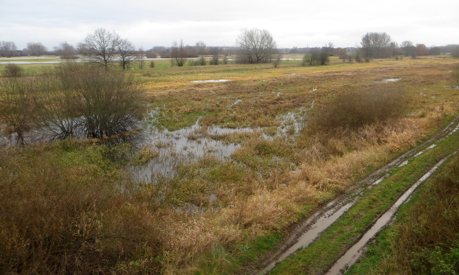 im Wasserschutzgebiet 2