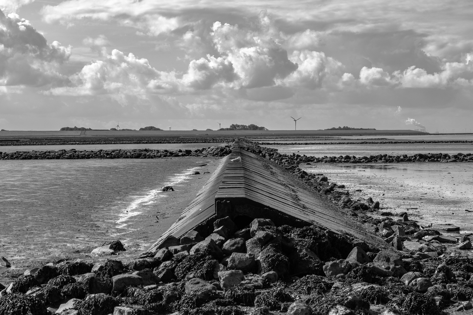 Im Watt Foto & Bild deutschland, europe, niedersachsen Bilder auf