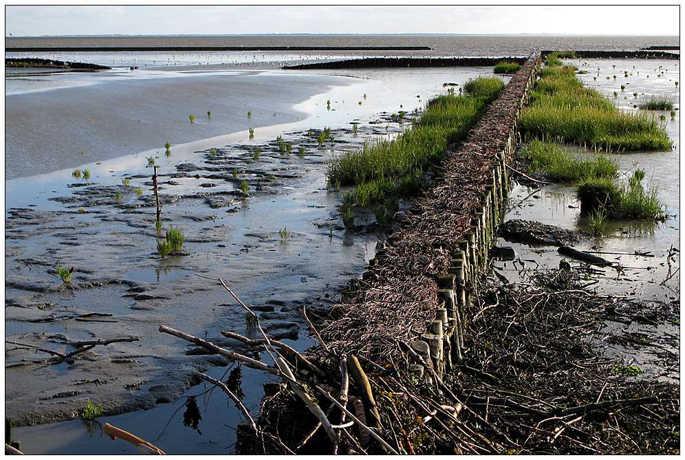 Im Watt bei Norddeich