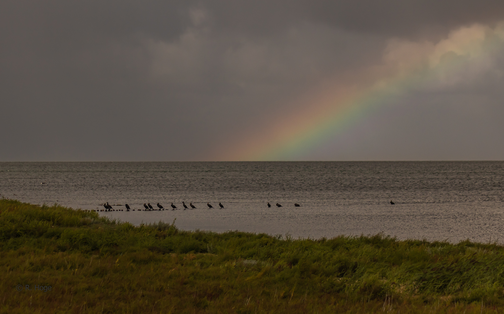 Im Watt von Amrum