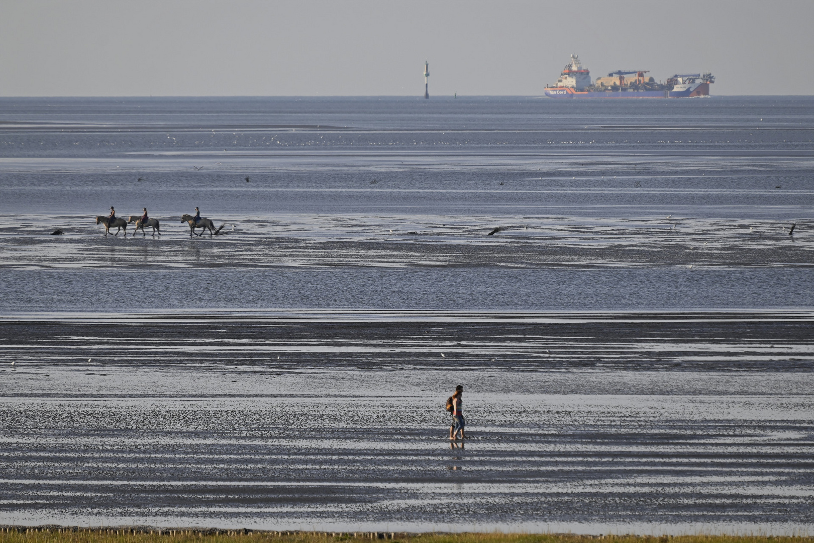 Im Watt vor Cuxhaven-Duhnen