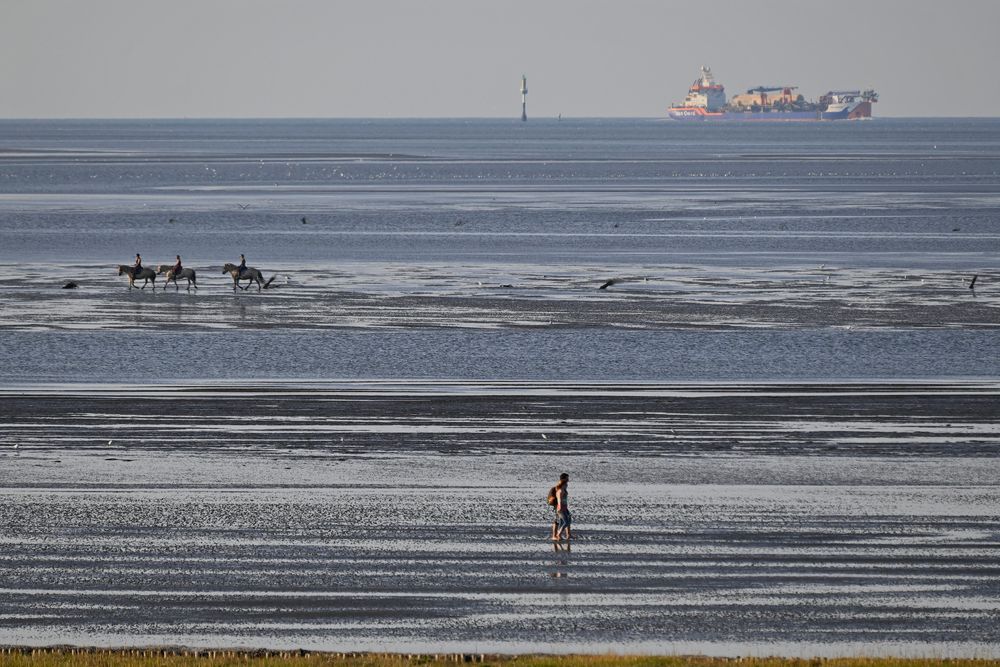 Im Watt vor Cuxhaven-Duhnen