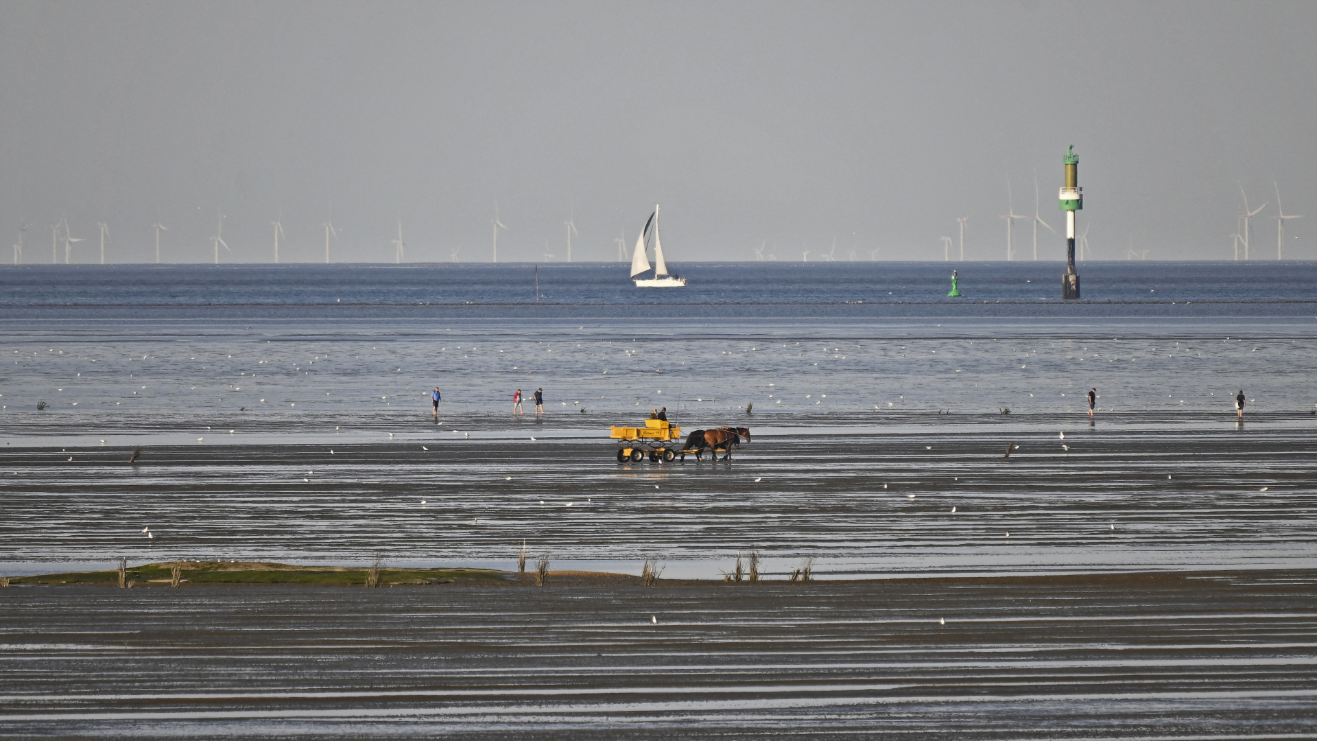 Im Watt vor Cuxhaven-Duhnen