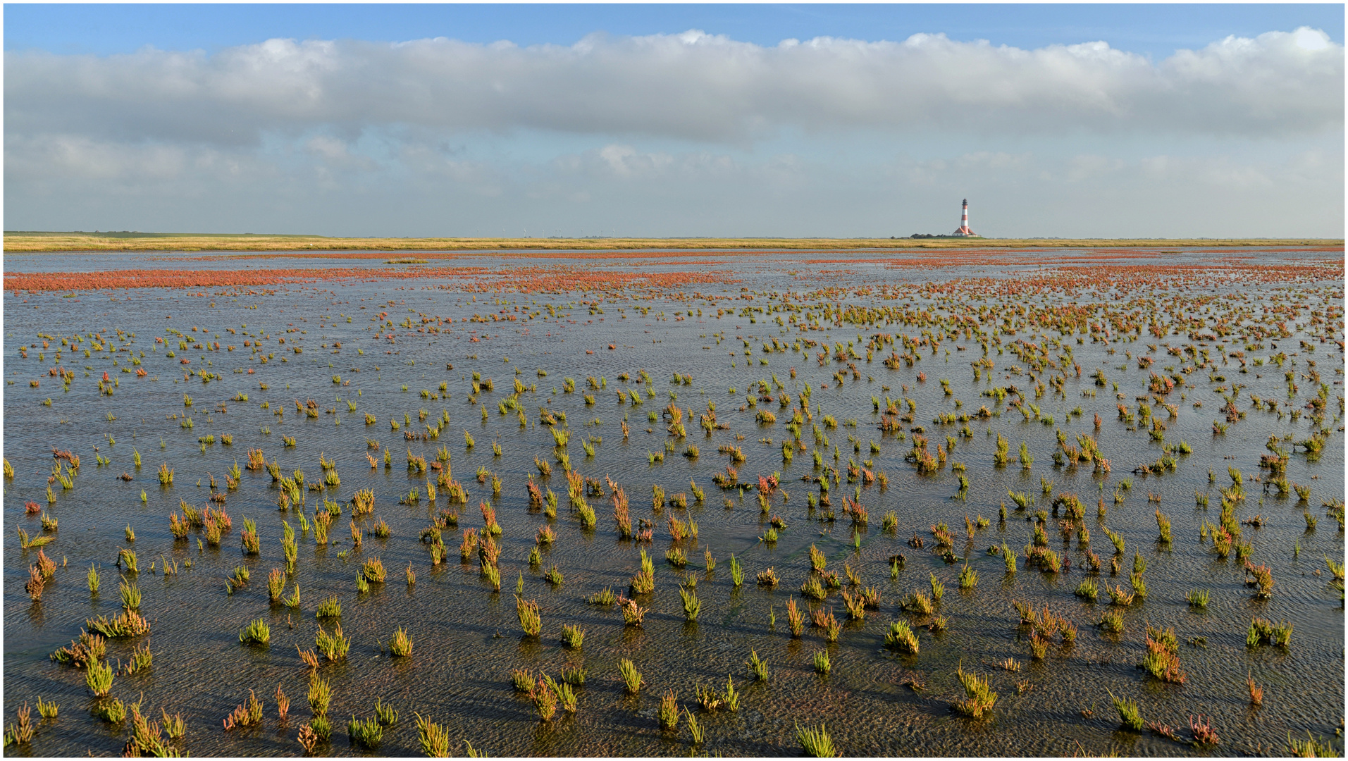 Im Watt vor Westerhever