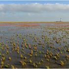 Im Watt vor Westerhever