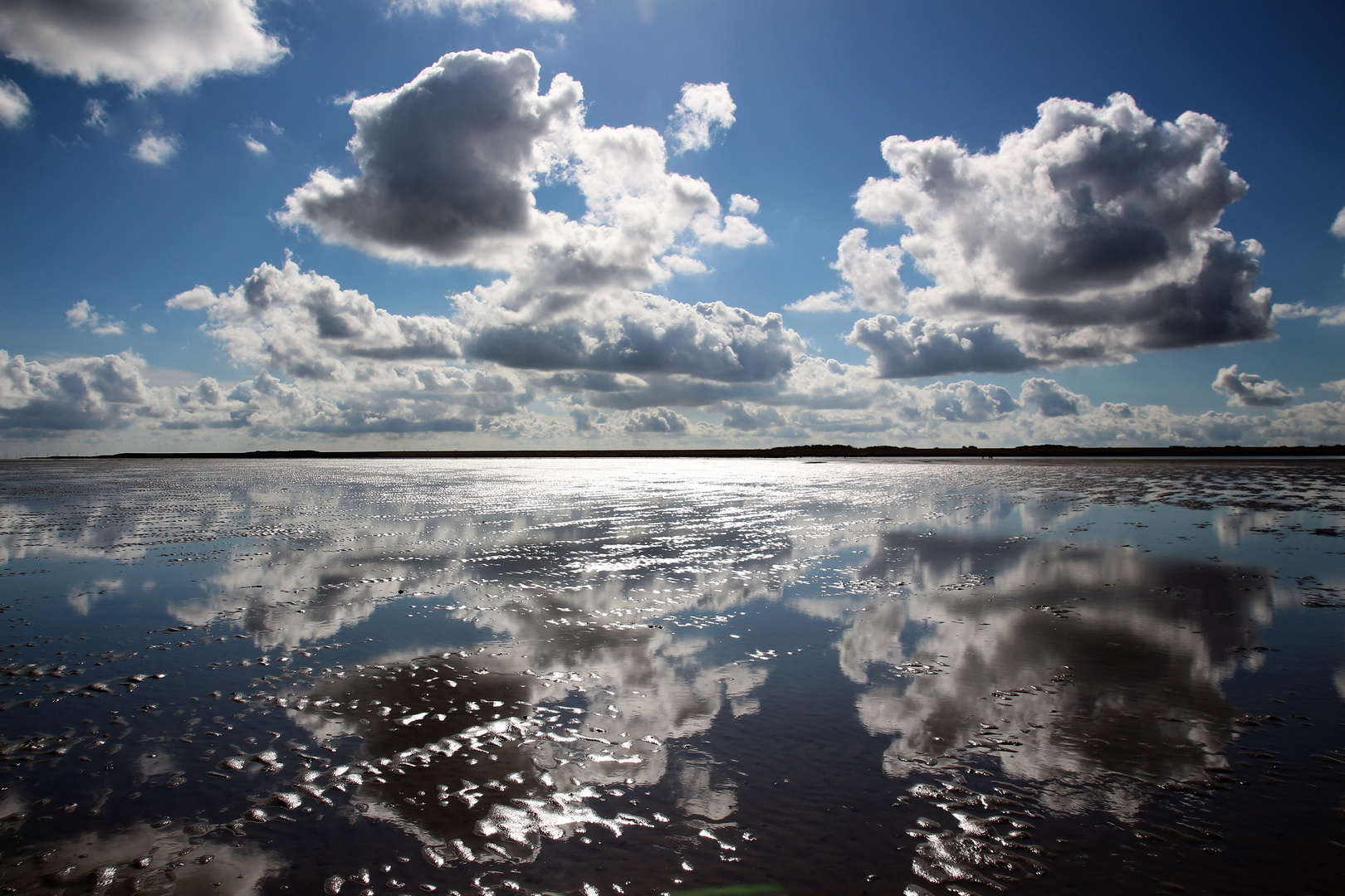 Im Watt zwischen Föhr und Amrum