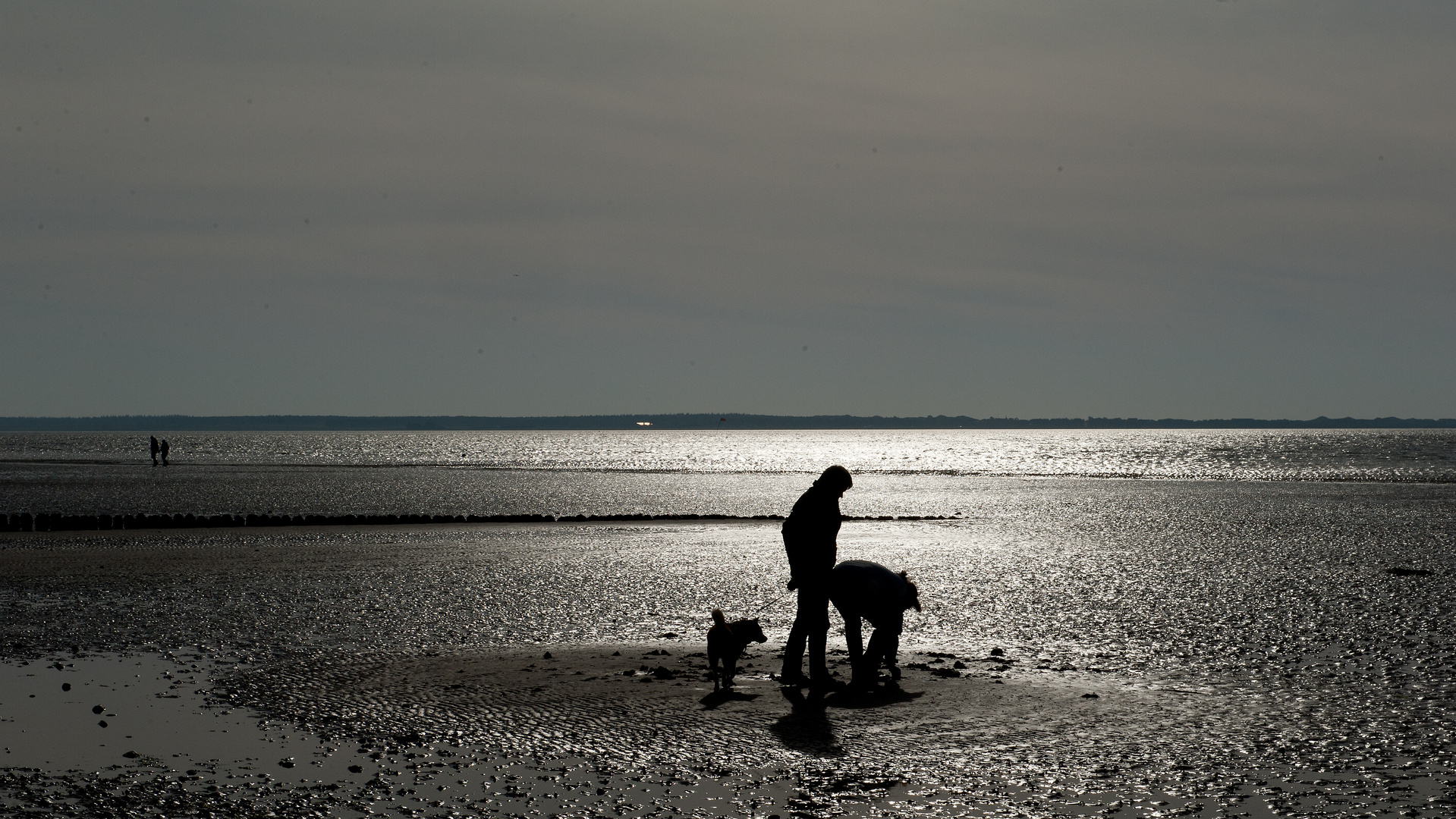 im Watt  zwischen Föhr und Amrum