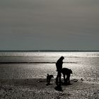 im Watt  zwischen Föhr und Amrum