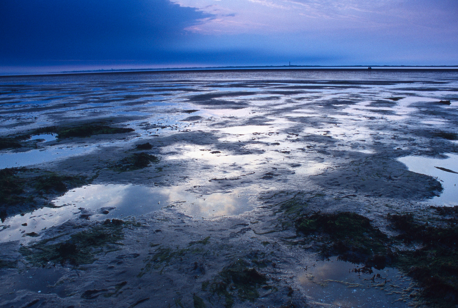 "Im Wattenmeer"