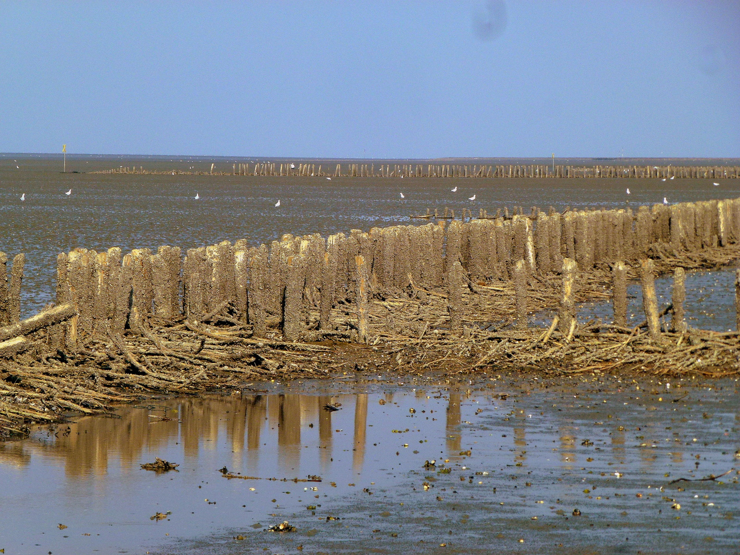 - Im Wattenmeer-