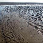 Im Wattenmeer 3