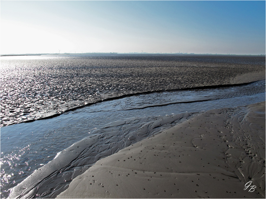 Im Wattenmeer 5