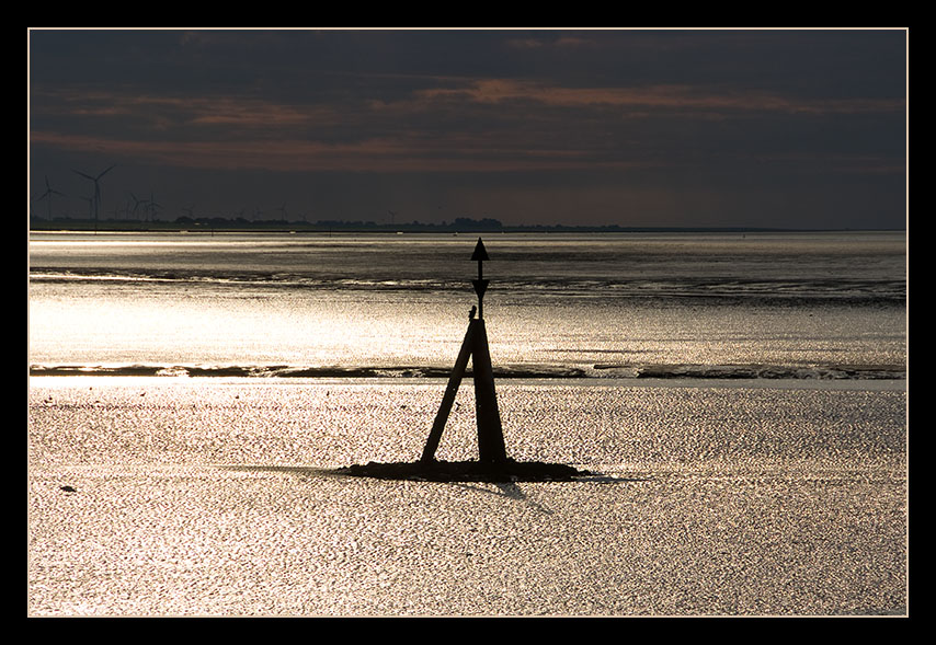 Im Wattenmeer