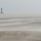 Im Wattenmeer