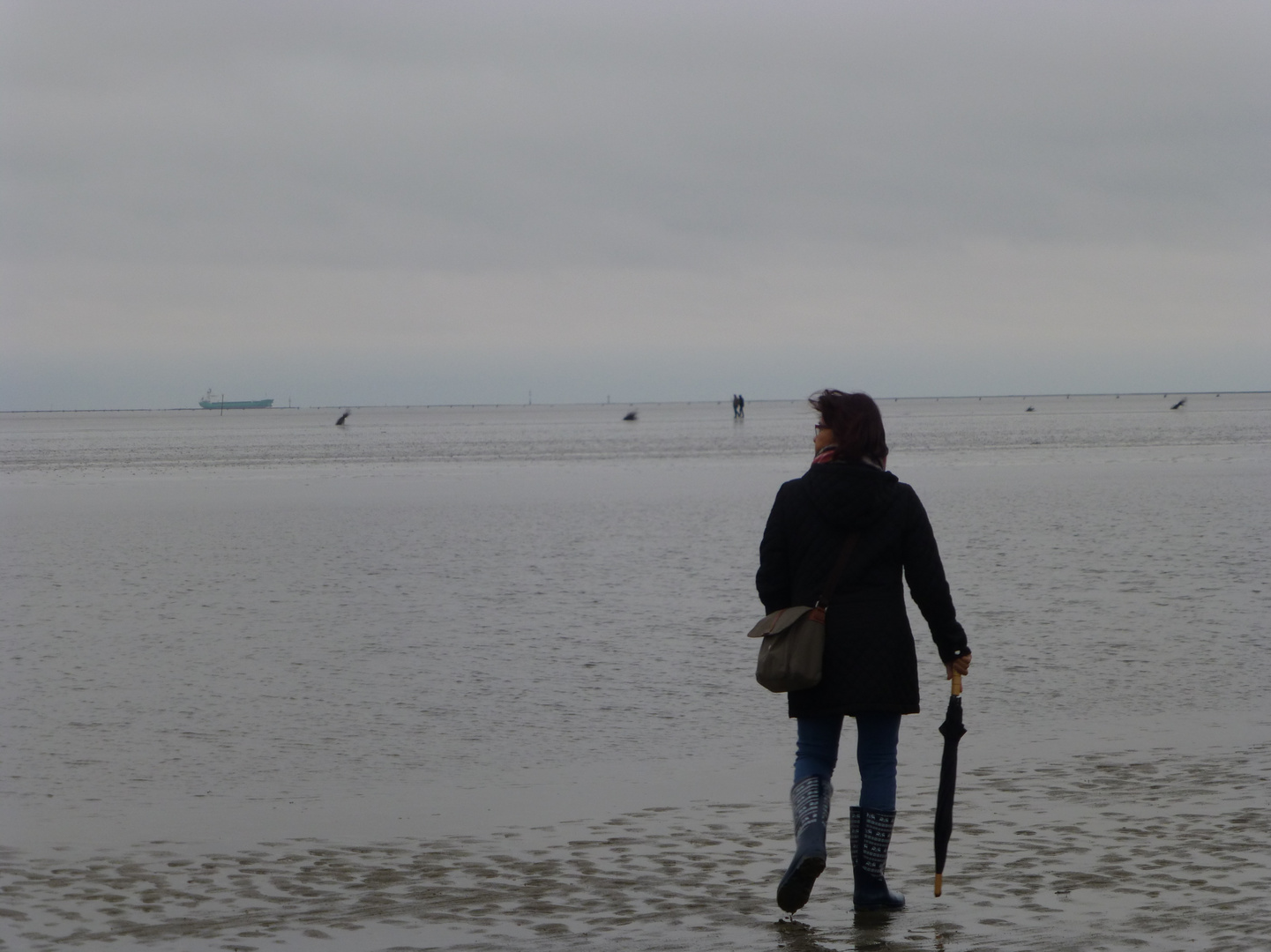 Im Wattenmeer an der Elbemündung