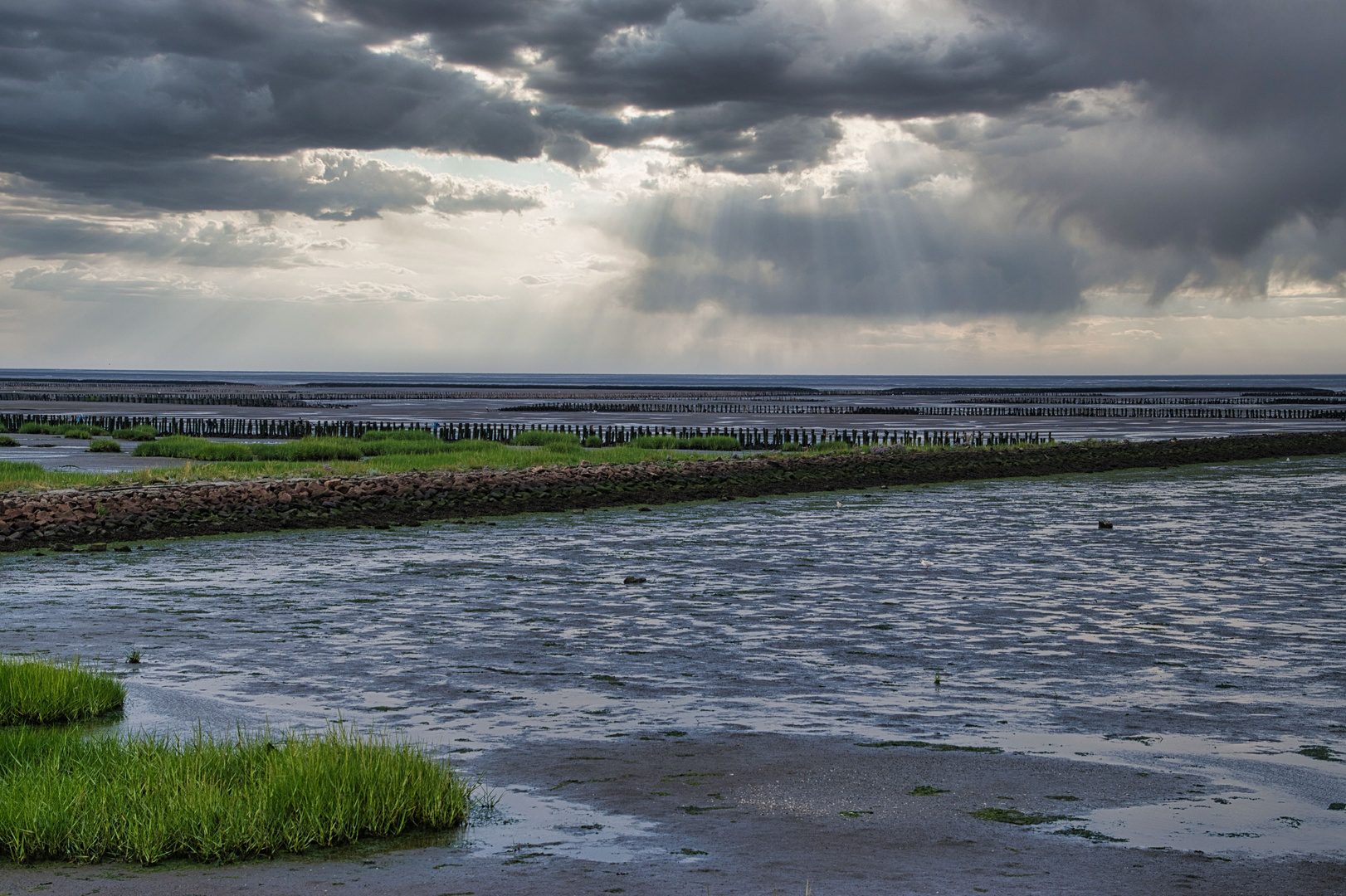 Im Wattenmeer