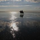 Im Wattenmeer bei Cuxhaven-Sahlenburg