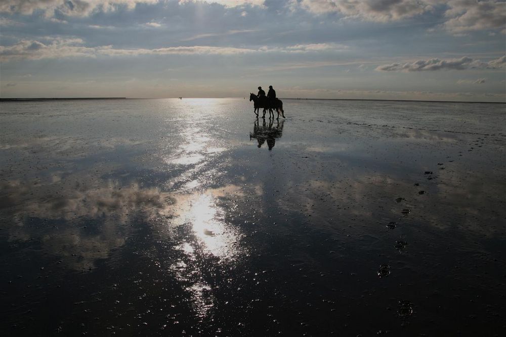 Im Wattenmeer bei Cuxhaven-Sahlenburg