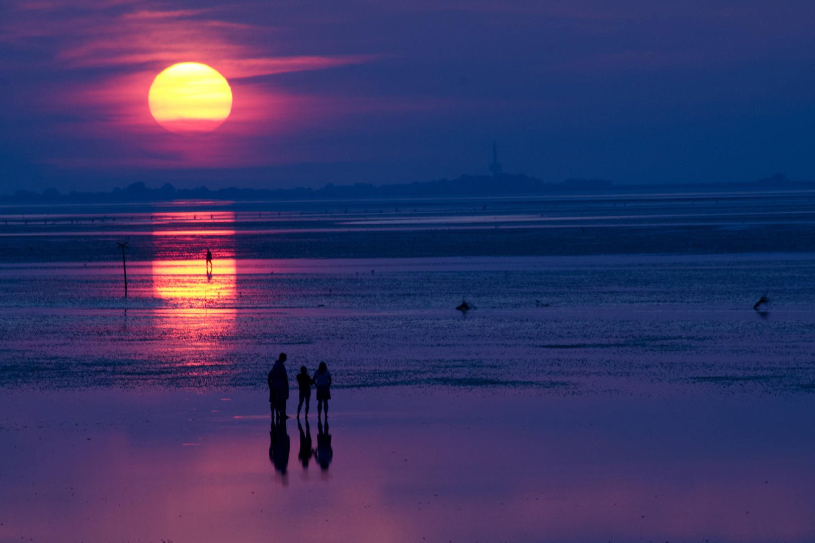 Im Wattenmeer