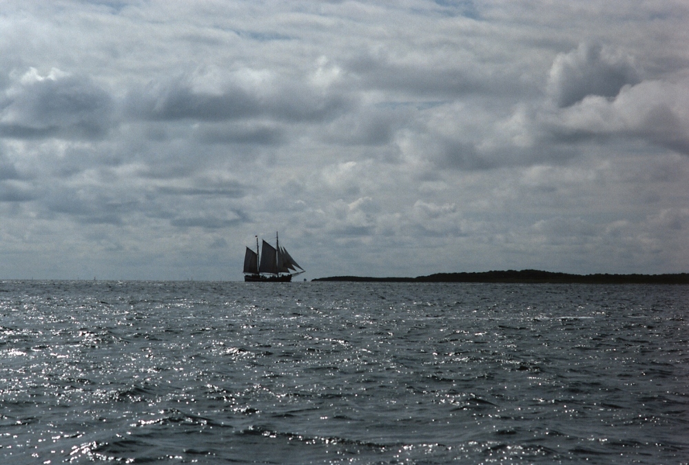 im Wattenmeer