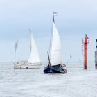 im wattenmeer vor der insel juist 