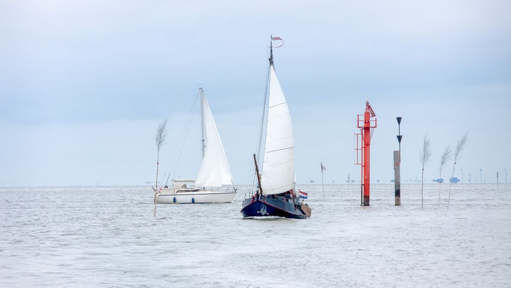 im wattenmeer vor der insel juist 