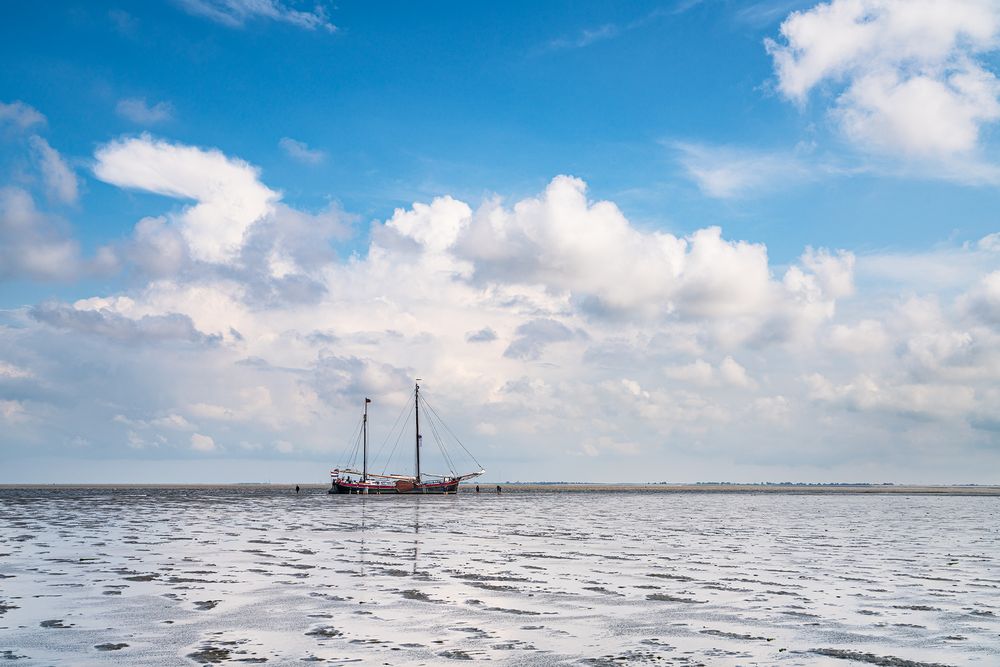 Im Wattenmerr bei Den Helder