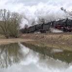 Im Weiher bei Immelborn ...