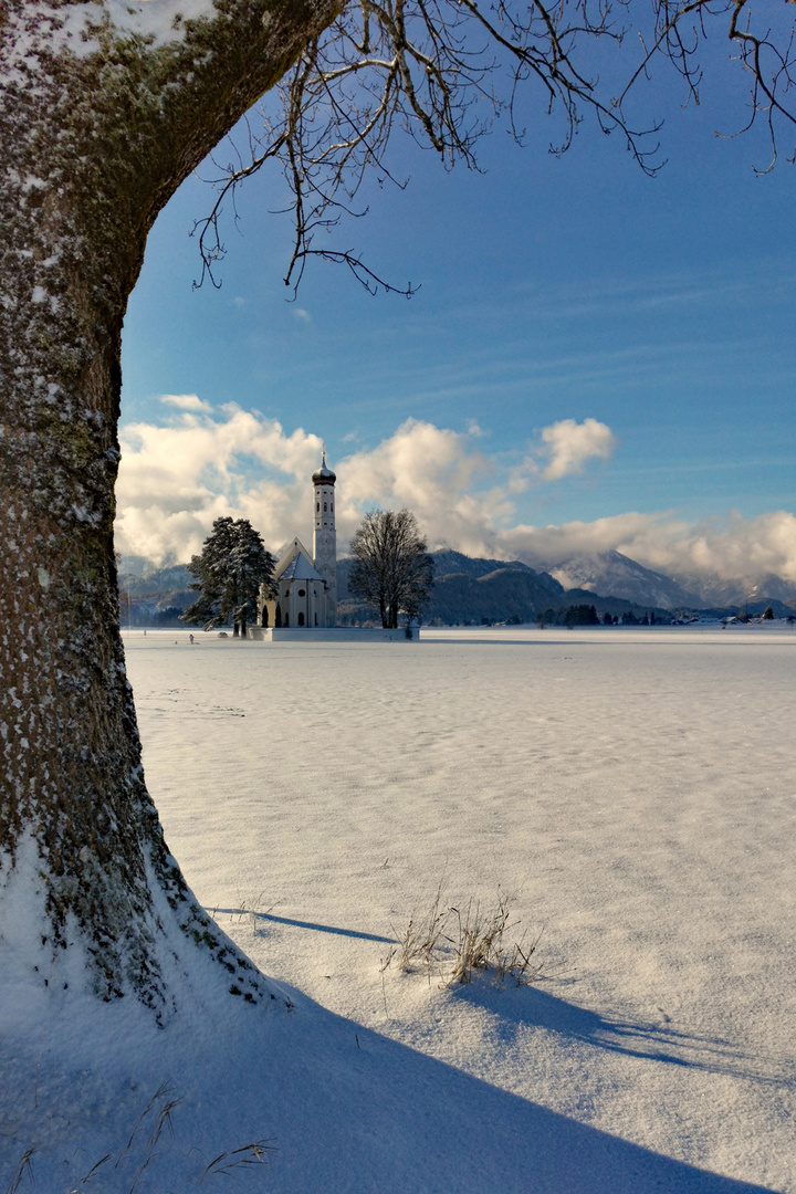 Im weihnachtlichen Glanz!