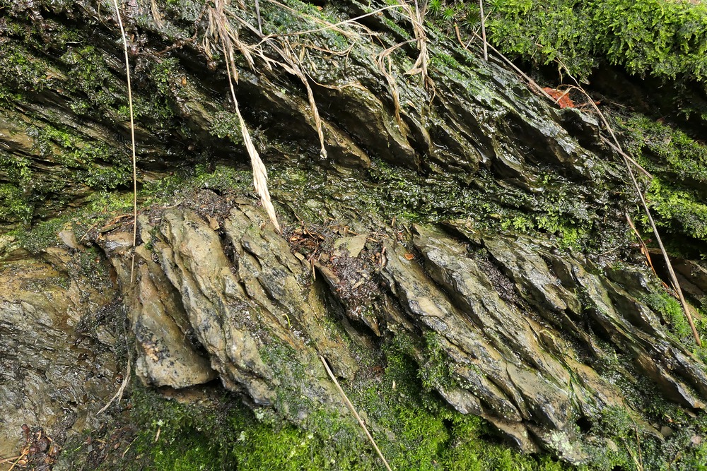 Im Weiltal: Schiefer – Formationen bei Altweilnau 02