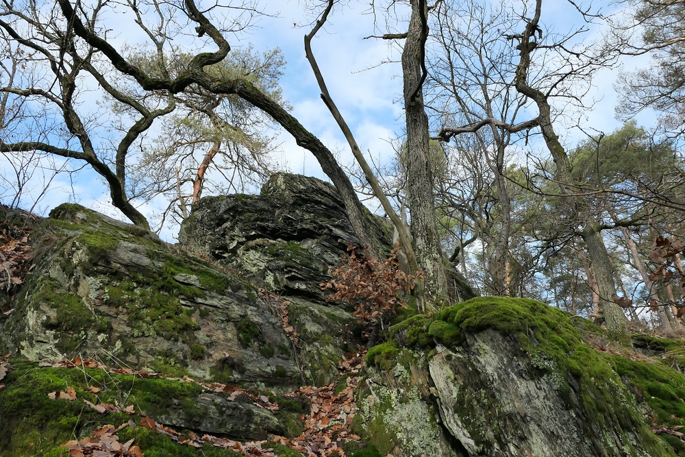 Im Weiltal: Schiefer – Formationen bei Altweilnau 05