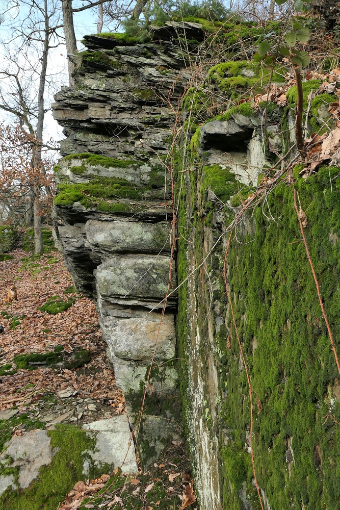 Im Weiltal: Schiefer – Formationen bei Altweilnau 10