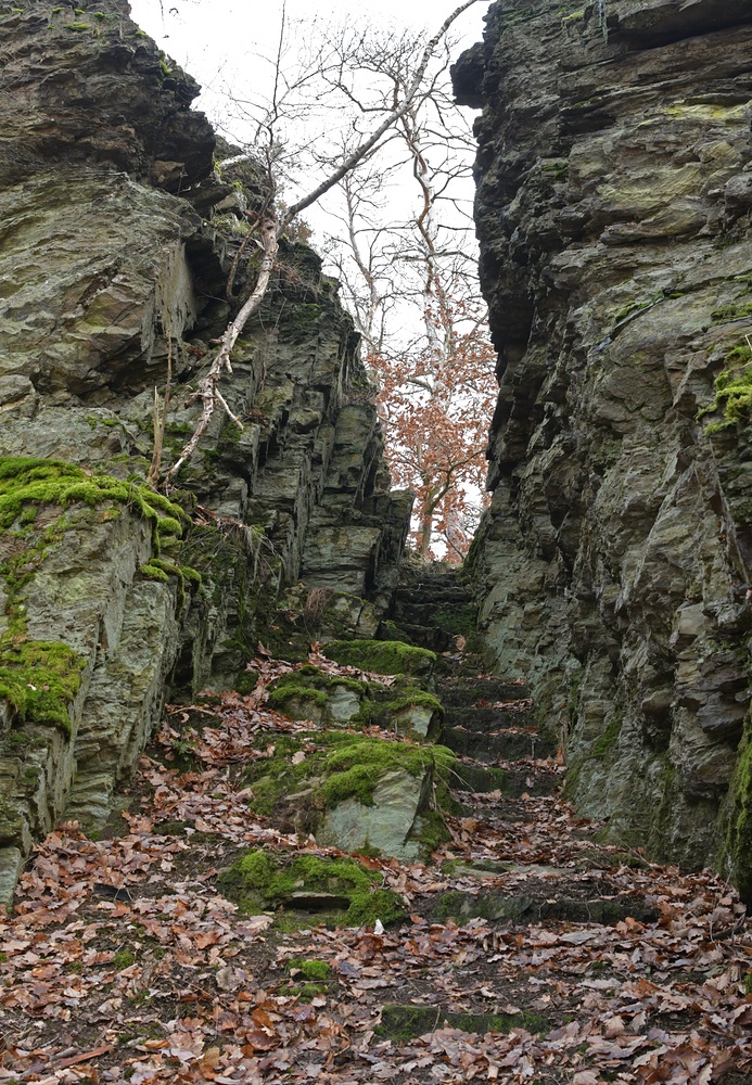 Im Weiltal: Schiefer – Formationen bei Altweilnau 17