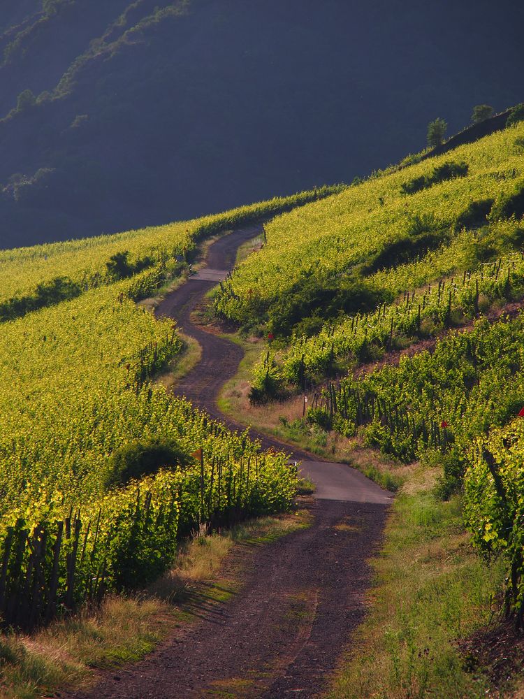 Kreuzworträtsel Rheinland Pfalz Kreuzworträtsel Rheinland Pfalz