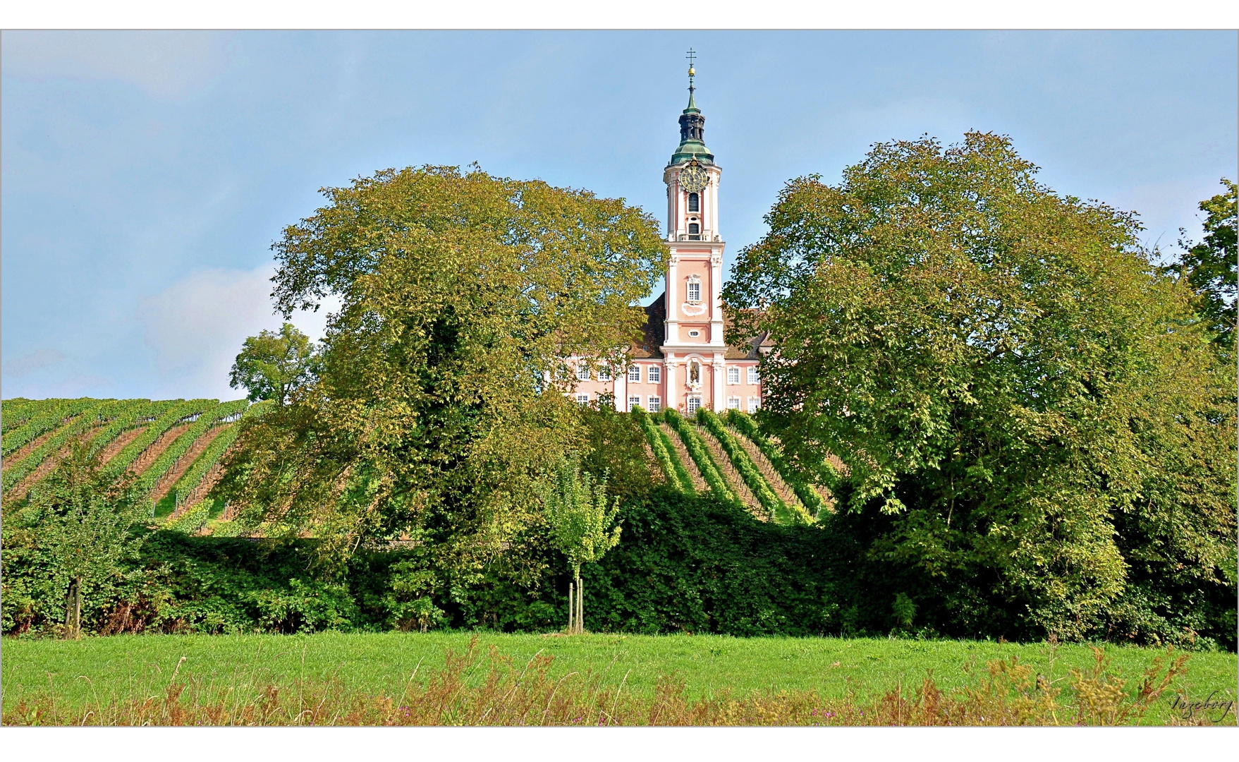 im Weinberg des Herrn