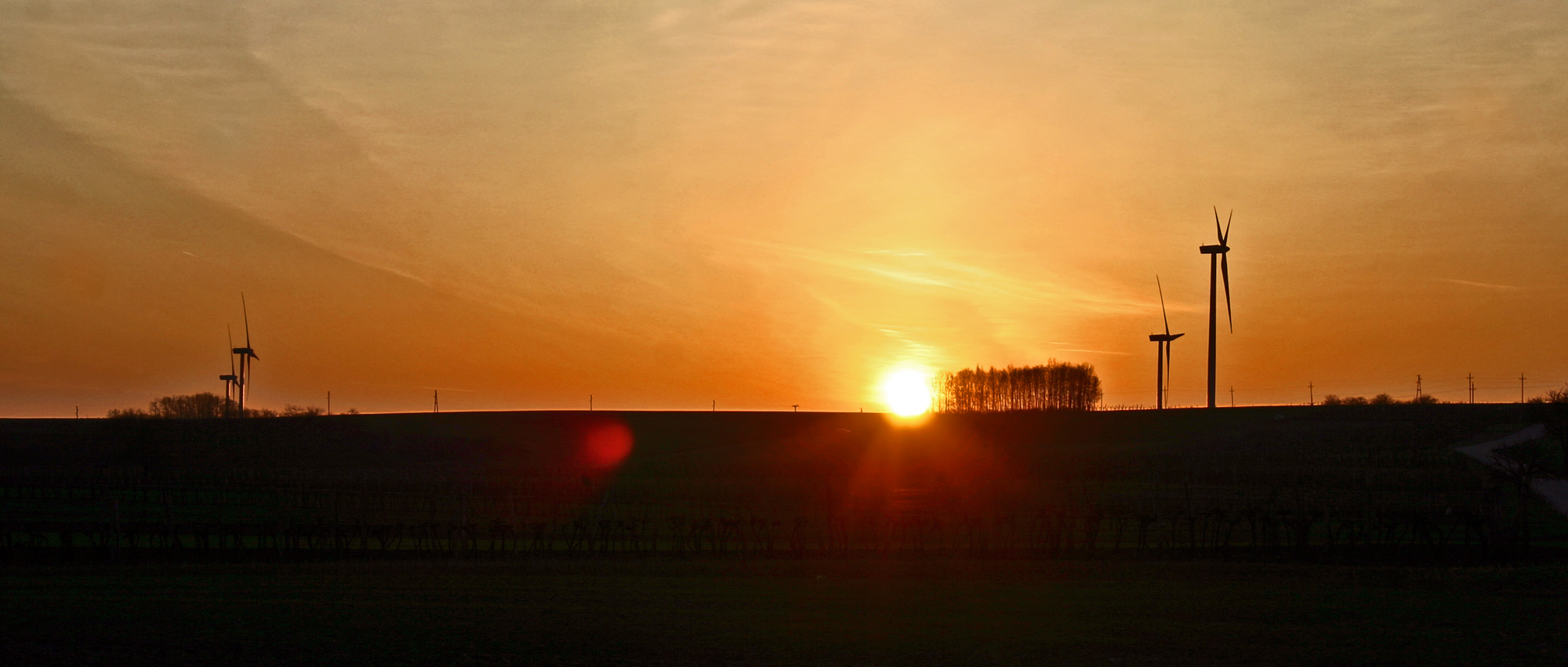 im Weinviertel...