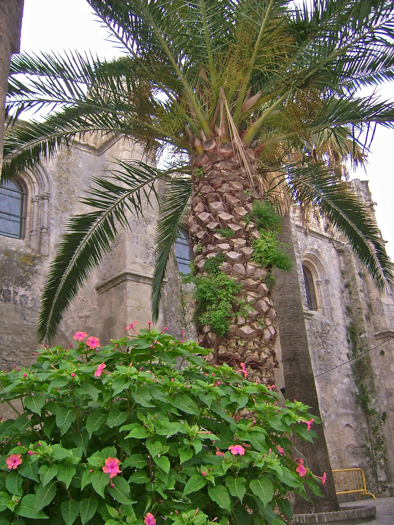 Im weißen Dorf in Andalusien