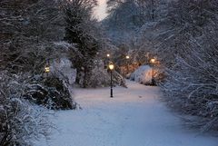 Im weißen Winterwald