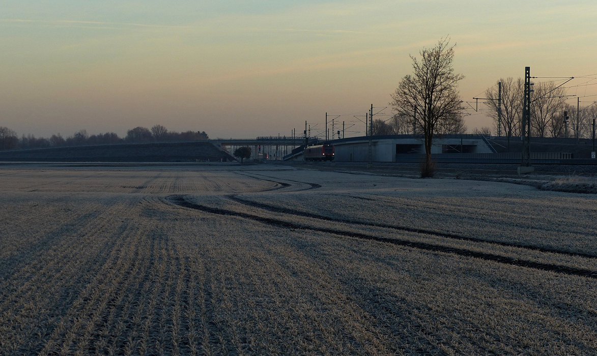 Im weiten Bauhausland