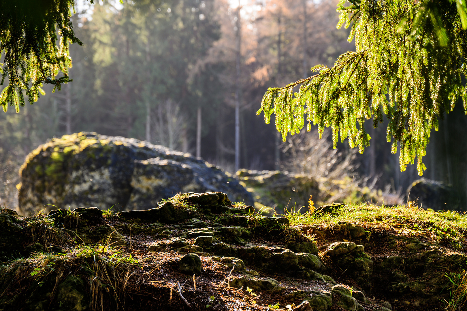 Im Wental - Au valley du Wen