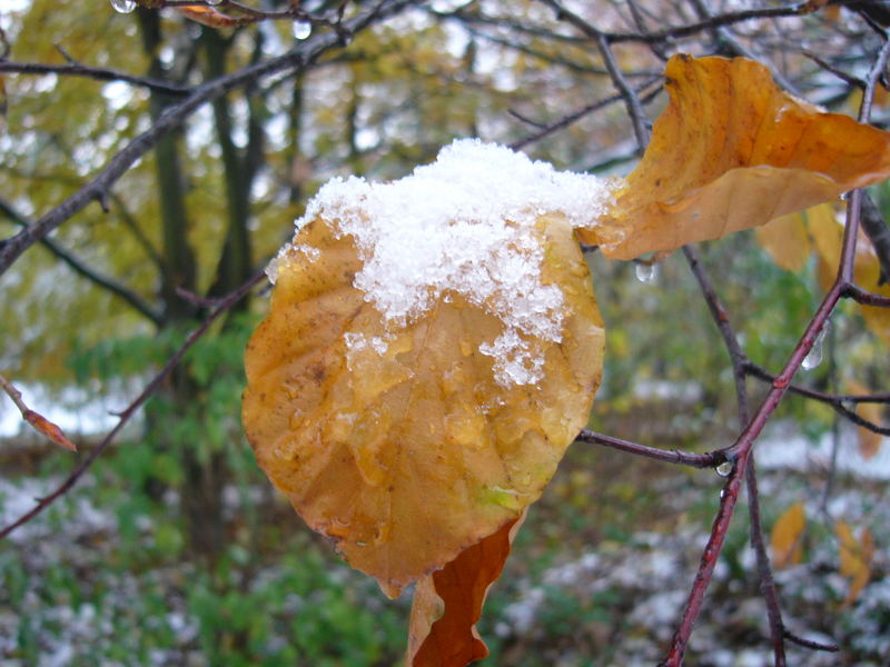 Im Werftpark (Kiel-Gaarden)