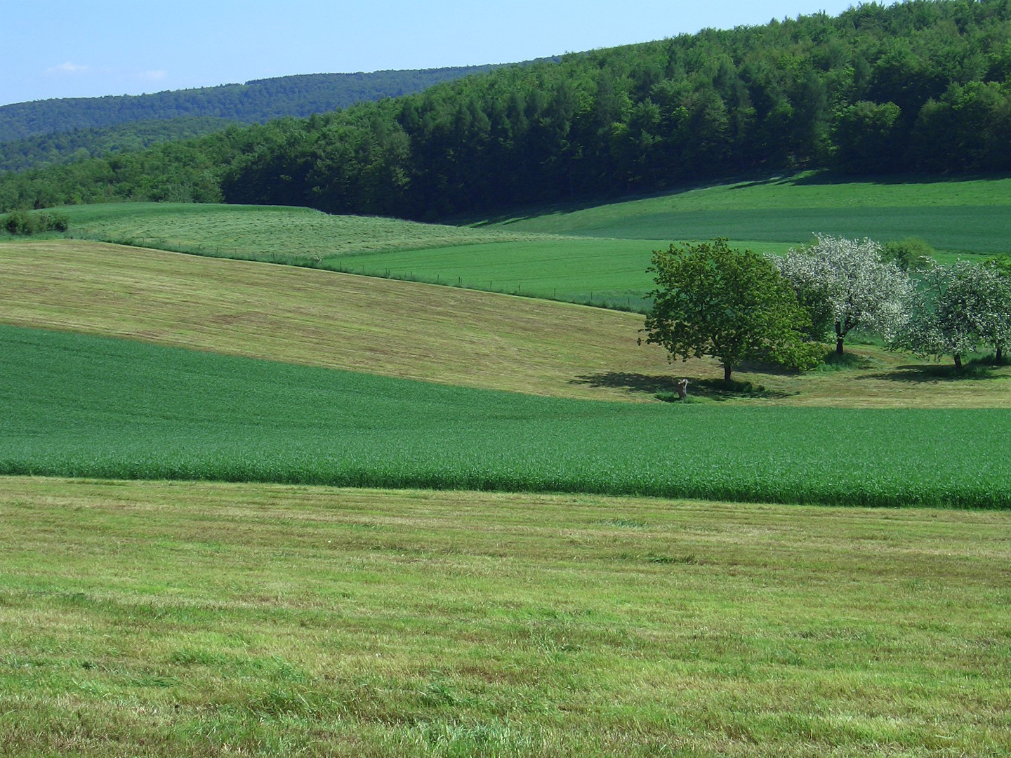 Im Weserbergland