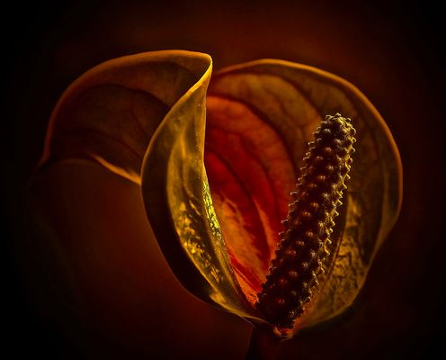 Im Westen geht die Sonne unter...