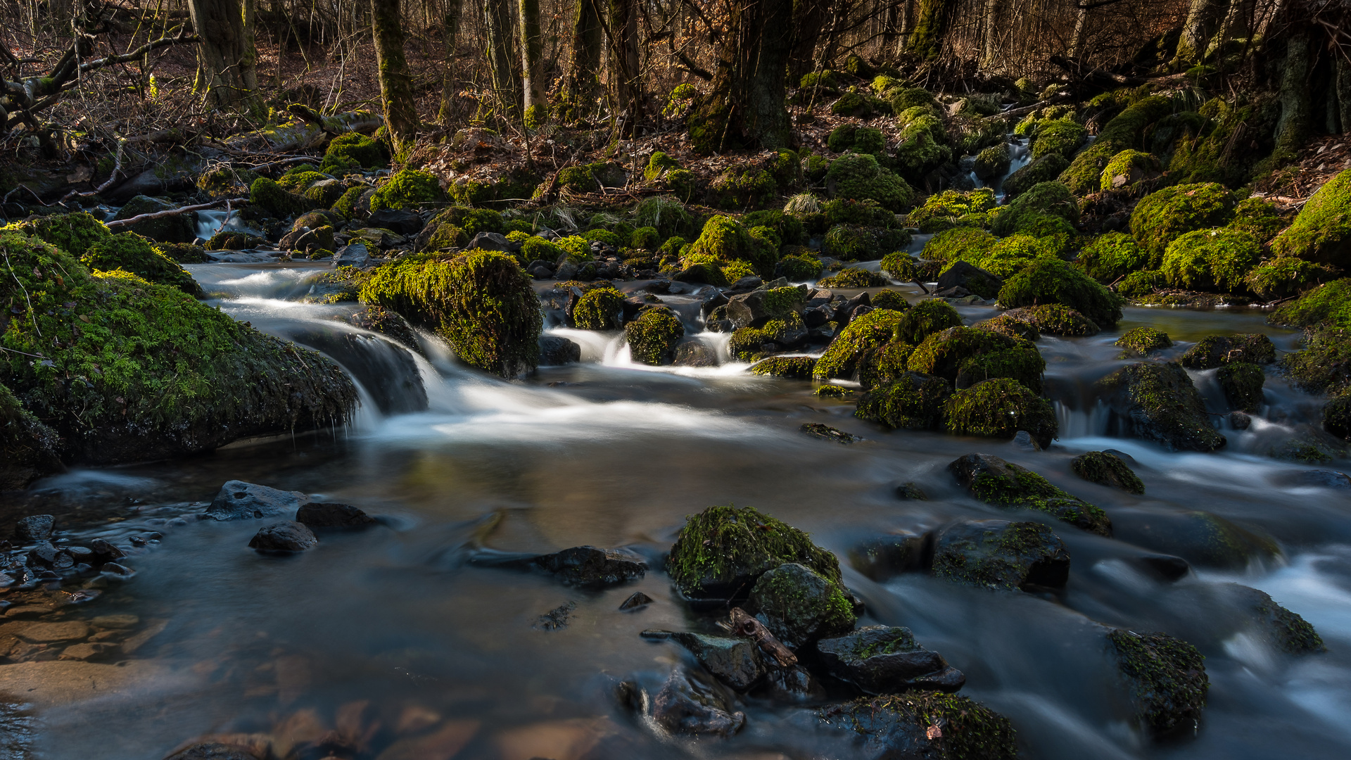 Im Westerwald