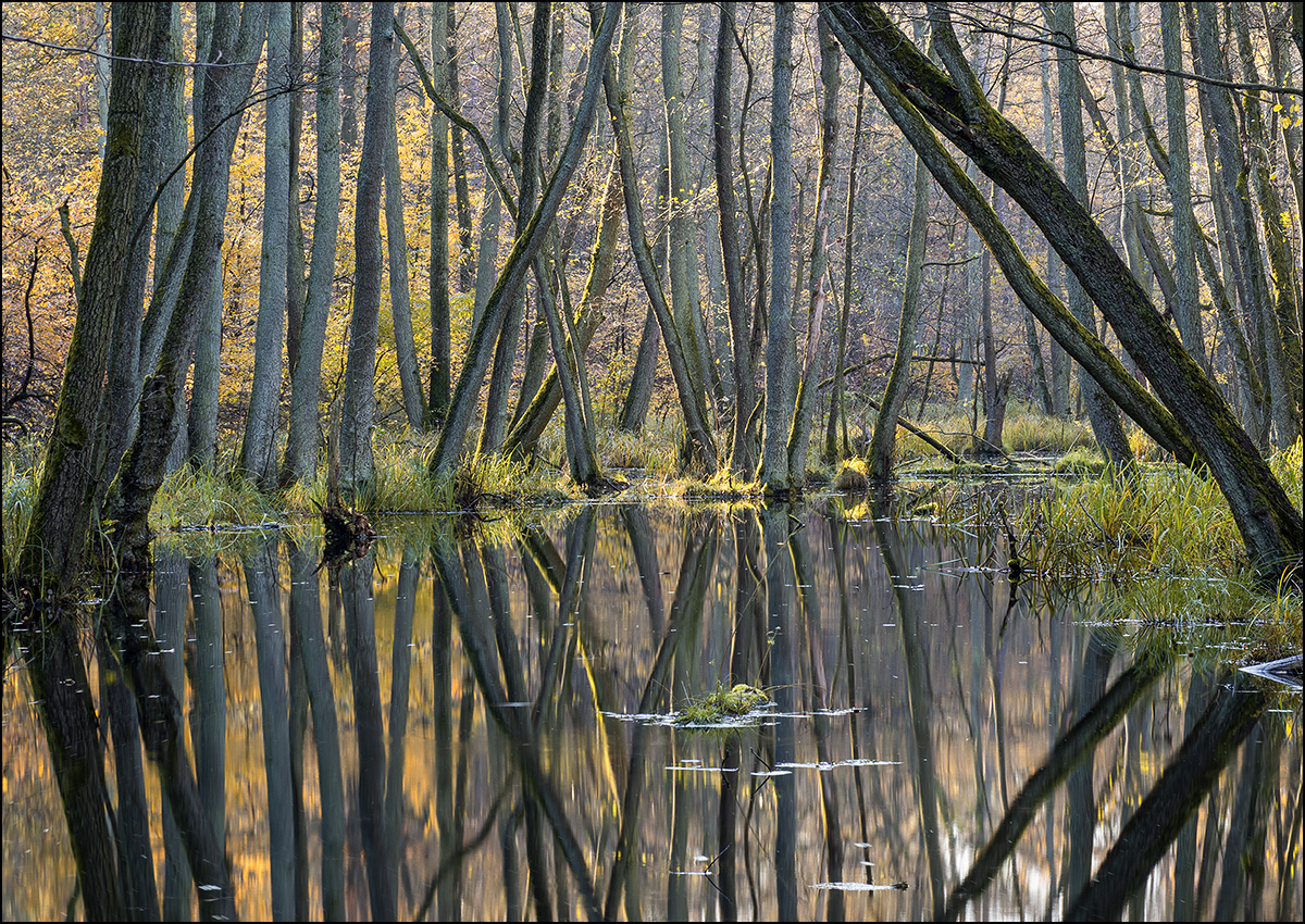 im widlromantischen Briesetal...