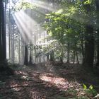 im Wiehengebirge bei Lübbecke