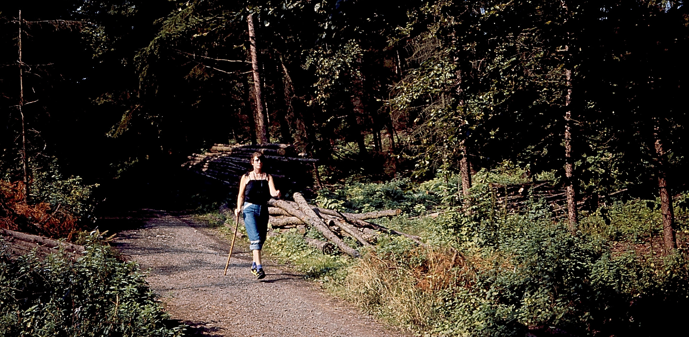 Im Wiehengebirge