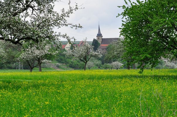 Im Wiesental am Neckar